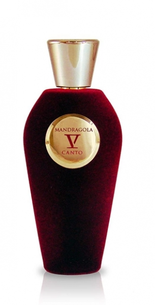 V Canto Mandragola EDP 100 ml Unisex Parfüm kullananlar yorumlar